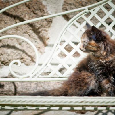 Lyly sur le banc des confessions