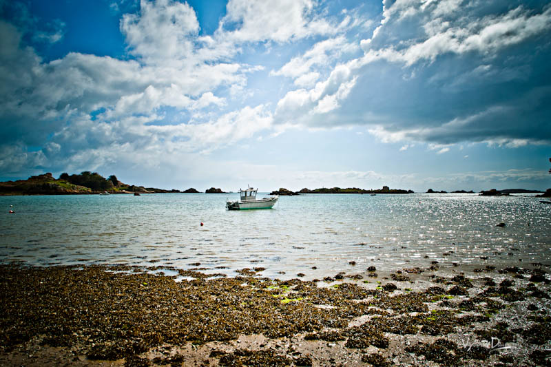 Bréhat - vue d'une location