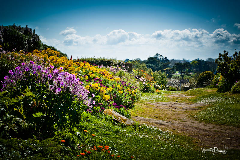 Sentier fleuri de l'île